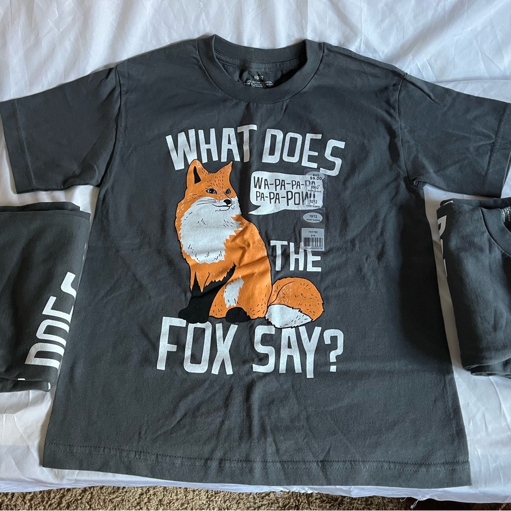 Boys size 10/12 Gray color ‘What Does the Fox Say’ T-Shirt